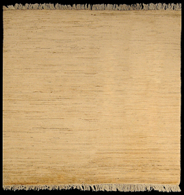15940 Catifa manual
