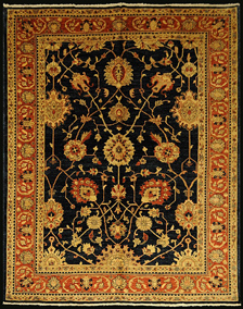 16755 Catifa manual