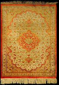 17581 Catifa manual